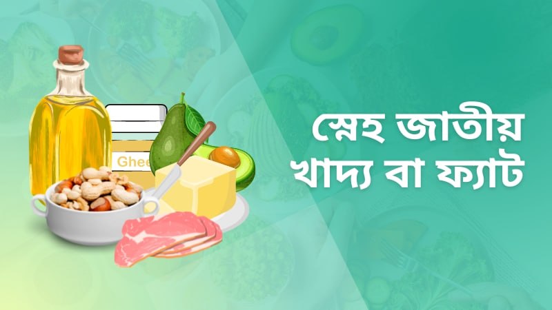 আমাদের শরীরের জন্য প্রয়োজন চর্বি (ফ্যাট) বা স্নেহ জাতীয় খাবারের তালিকা