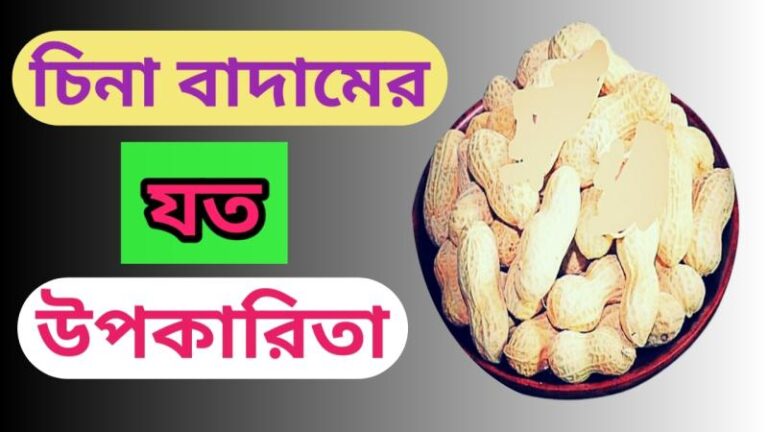 চিনা বাদাম খাওয়ার উপকারিতা সম্পর্কে বিস্তারিত